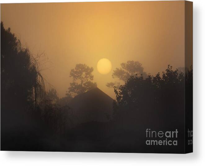 Sunrise Canvas Print featuring the photograph Sunrise Through A Heavy Morning Fog by Kathy Baccari