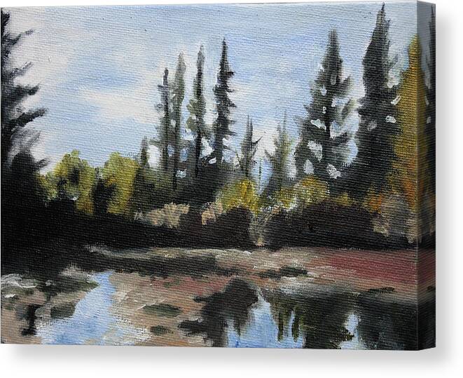 Landscape Canvas Print featuring the painting Swimming Hole by Sarah Lynch