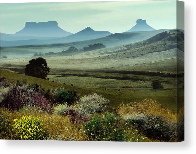 Africa Canvas Print featuring the photograph Table Mountains In Kwazulu Natal by Per-Andre Hoffmann