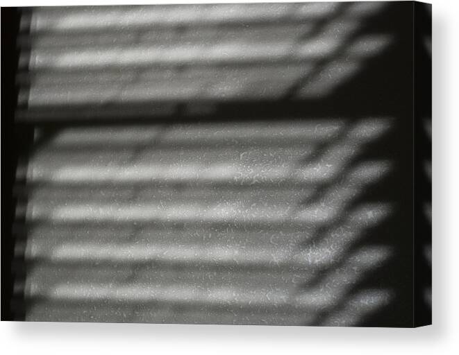 Abstract Canvas Print featuring the photograph Texture in the Shadows by Christi Kraft