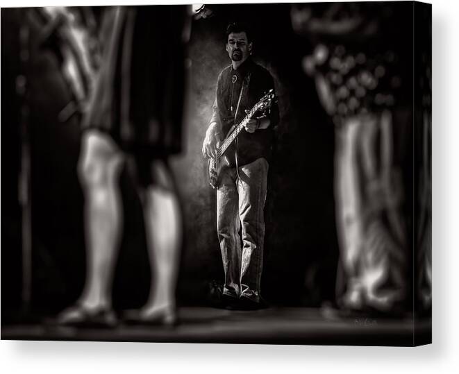 Bass Canvas Print featuring the photograph The Bassist by Bob Orsillo