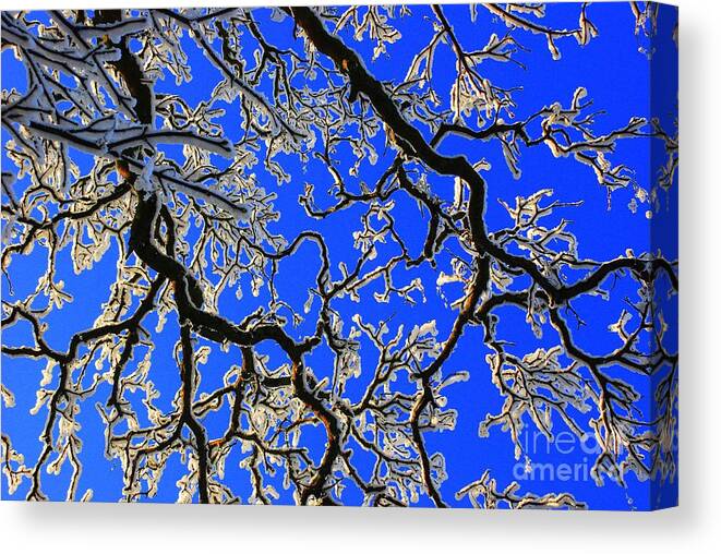 Snow Canvas Print featuring the photograph The big thaw by Joe Cashin