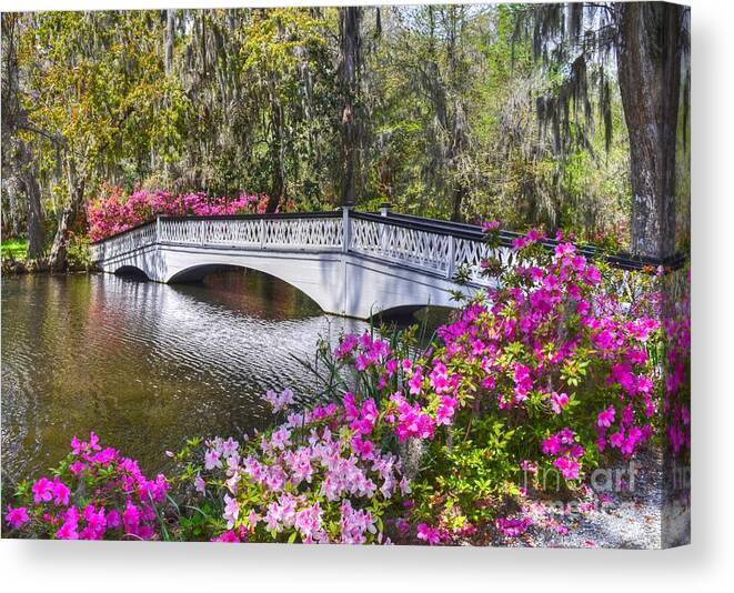 Scenic Canvas Print featuring the photograph The Bridge At Magnolia Plantation by Kathy Baccari