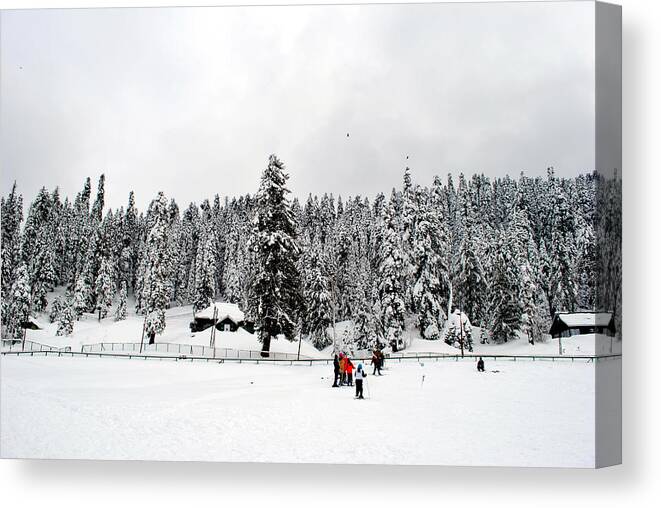 Gulmarg Canvas Print featuring the photograph The Dazzle of Winter Trees at Gulmarg - Kashmir- India- Viator's Agonism by Vijinder Singh