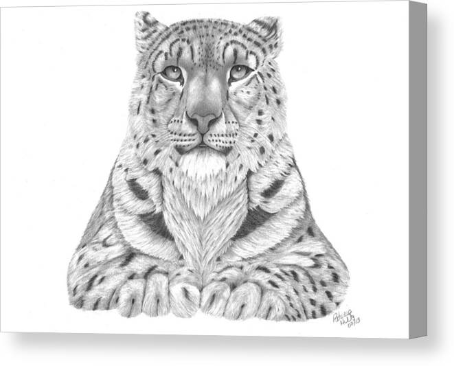 White Tiger Canvas Print featuring the drawing The Fearless Tiger by Patricia Hiltz