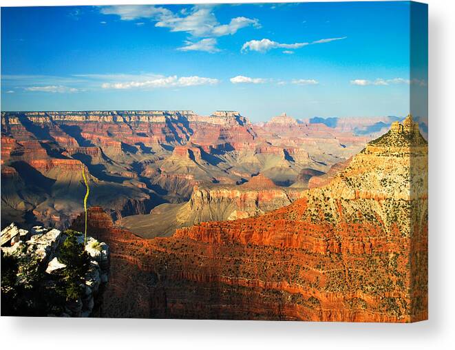 America Canvas Print featuring the photograph The Grand Canyon at Sunset by Gregory Ballos