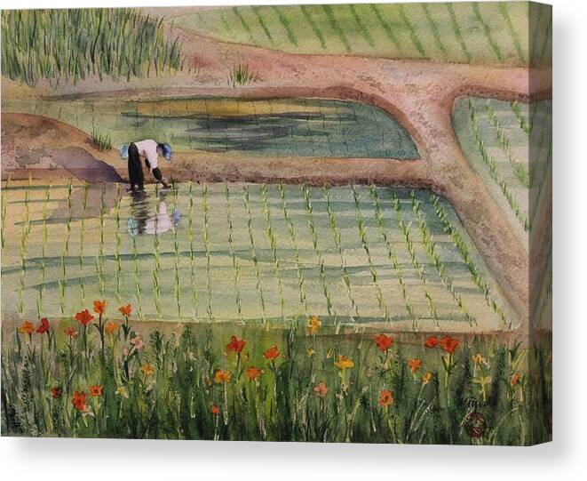 Fields Canvas Print featuring the painting The Rice Planter by Kelly Miyuki Kimura