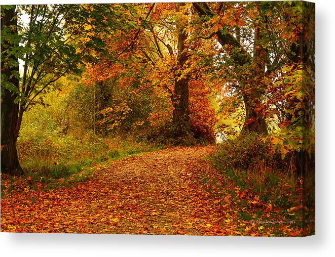 Leaves Canvas Print featuring the photograph The Road Less Traveled by Cassius Johnson