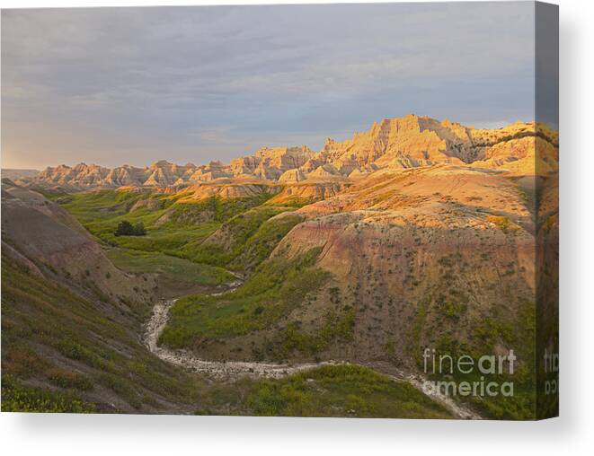 Badlands Canvas Print featuring the photograph The Stream by Steve Triplett