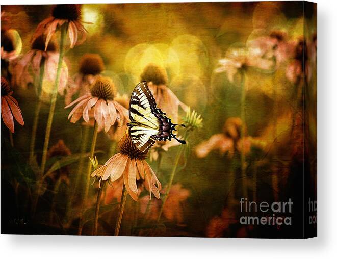 Floral Canvas Print featuring the photograph The Very Young At Heart by Lois Bryan