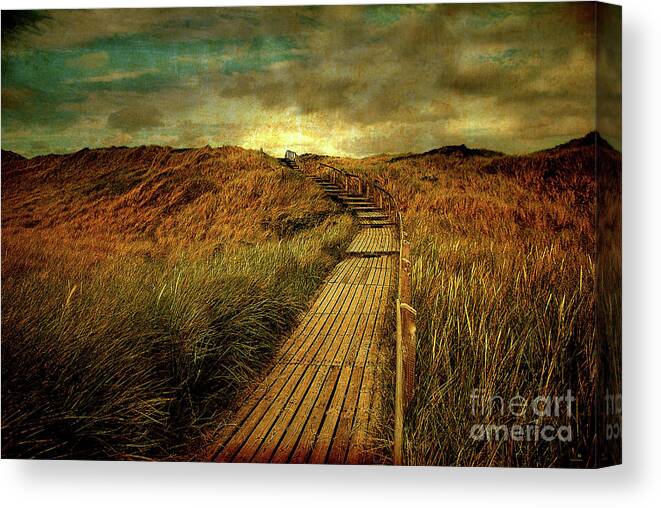 Nature Canvas Print featuring the photograph The Way by Hannes Cmarits
