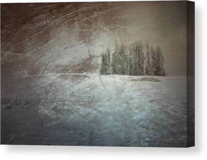 Cold Canvas Print featuring the photograph They Huddle by Mark Ross