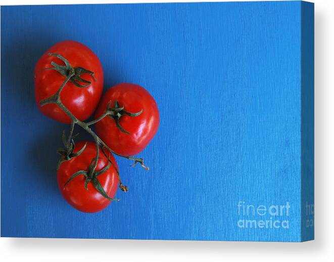 Tomato Canvas Print featuring the photograph Threematoes by Dan Holm