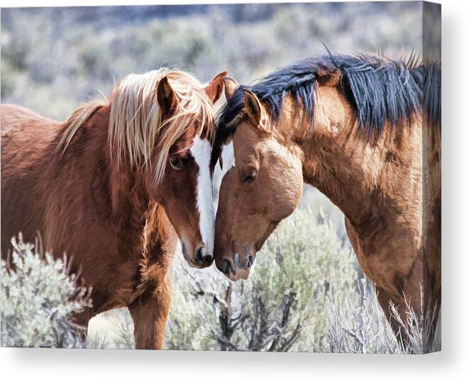 Horses Canvas Print featuring the photograph Love and Affection II by Athena Mckinzie