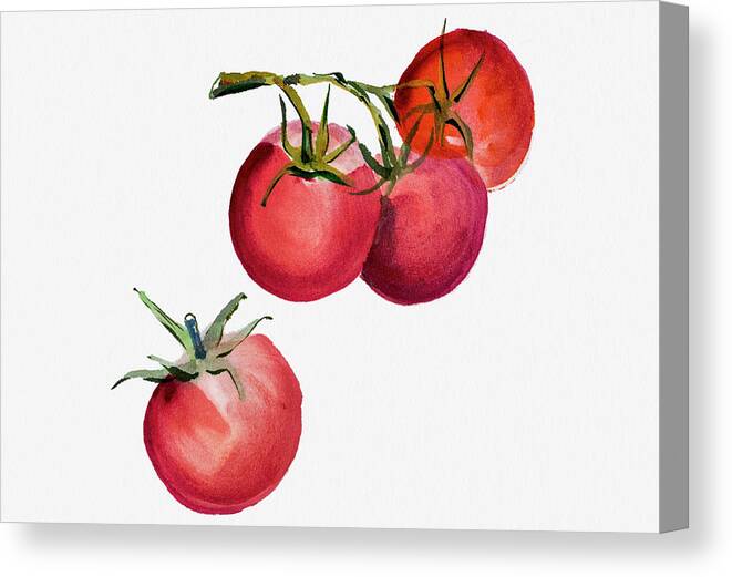 Artist Canvas Print featuring the digital art Tomatoes Watercolor Painting by Mashuk