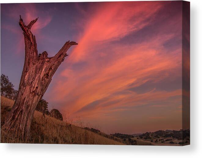 Landscape Canvas Print featuring the photograph Touch The Sky by Marc Crumpler