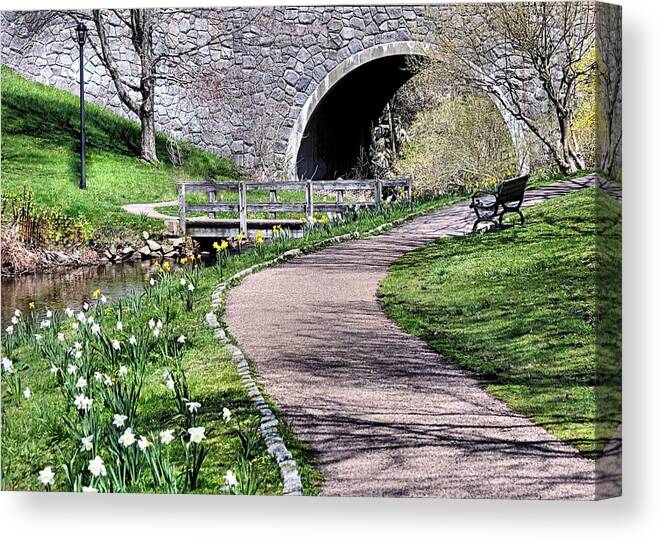 Town Brook Canvas Print featuring the photograph Town Brook Path by Janice Drew