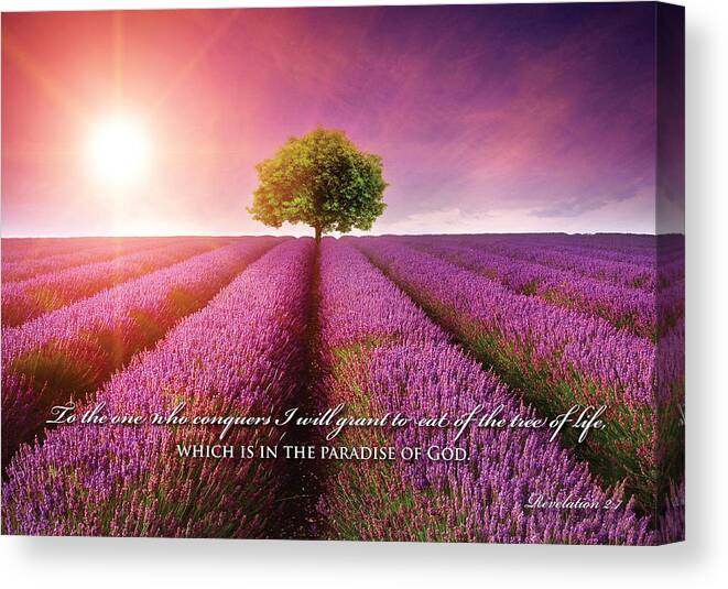 Flower Canvas Print featuring the digital art Tree of Life by Kathryn McBride