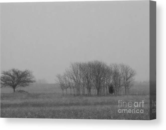 Kansas Canvas Print featuring the photograph Trees in Snow by Fred Lassmann