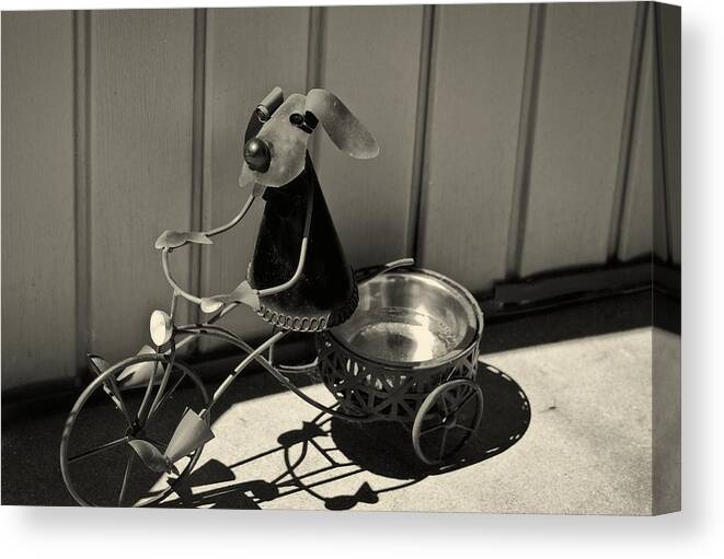5d Mark Iii Canvas Print featuring the photograph Tricycle Dog by John Hoey