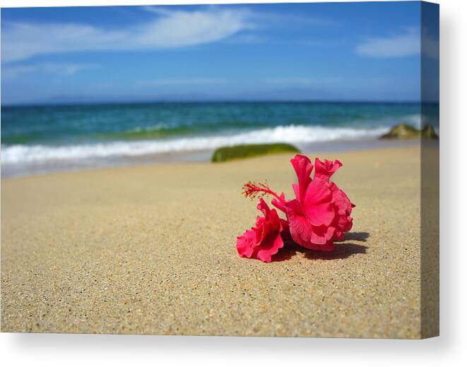 Seascape Canvas Print featuring the photograph Tropical Beach Flower by Aged Pixel