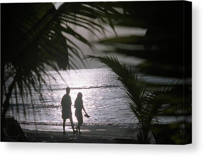 Playa Del Carmen Canvas Print featuring the photograph Tropical Beach by Martin Riedl/science Photo Library