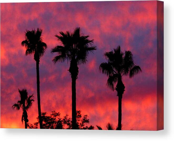 Sunset Canvas Print featuring the photograph Tropical Sunset by Laurel Powell