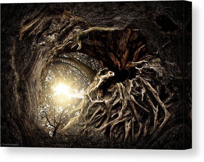 Roots Canvas Print featuring the photograph Under The Trees #1 by Matthias Bergolth