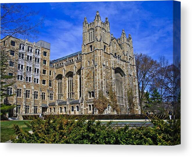 University Of Michigan Canvas Print featuring the photograph University of Michigan Campus by Marisa Geraghty Photography
