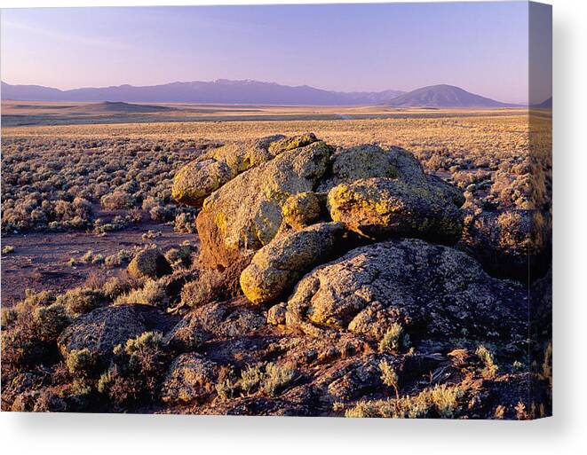 Colorado Landscape Canvas Print featuring the photograph Volcanic Rocks by James Steinberg