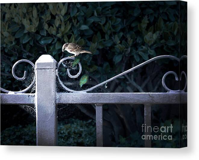 Blended Canvas Print featuring the photograph Waiting for Your Call by Ellen Cotton