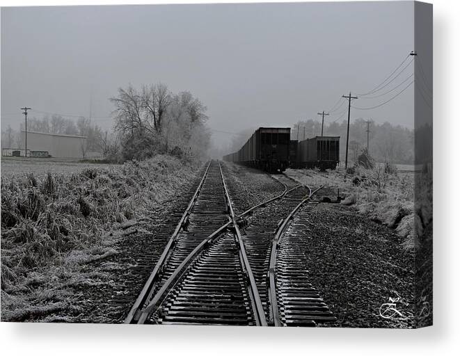 Landscape Canvas Print featuring the photograph Waiting On The Side by David Zarecor