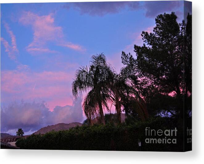 Pink Canvas Print featuring the photograph Water Colored Sky by Jay Milo