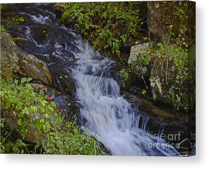 Rural Canvas Print featuring the photograph Water Falling by Sandra Clark