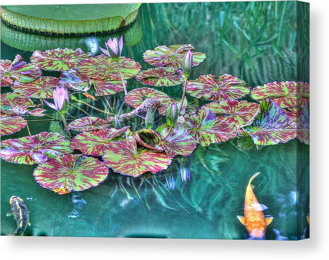 Greeting Canvas Print featuring the photograph Flower 12 #1 by Albert Fadel