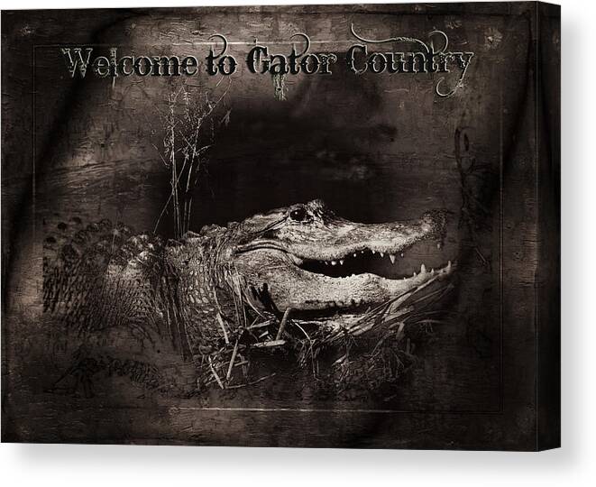 Alligator Canvas Print featuring the photograph Welcome to Gator Country by Mark Andrew Thomas