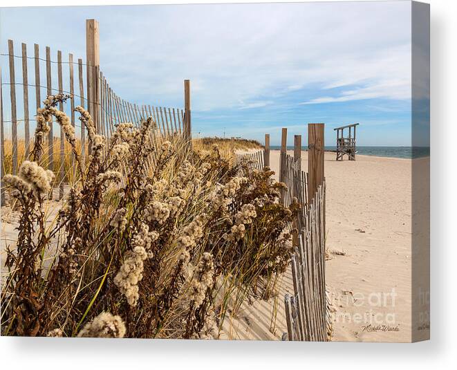 Welcome To The Cape Canvas Print featuring the photograph Welcome to The Cape by Michelle Constantine