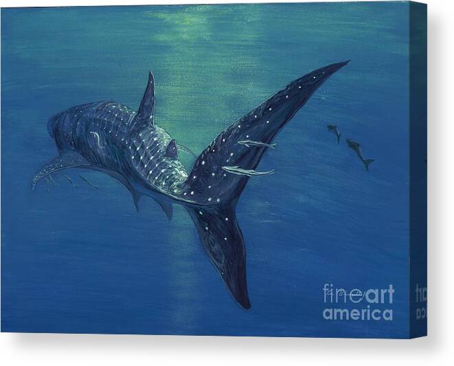 Whale Shark Canvas Print featuring the painting Whale shark by Tom Blodgett Jr