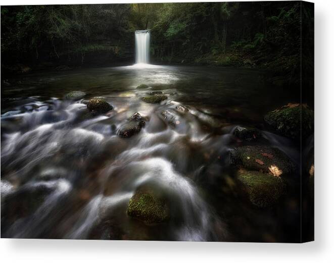 River Canvas Print featuring the photograph Whispers Of Water by Fran Osuna