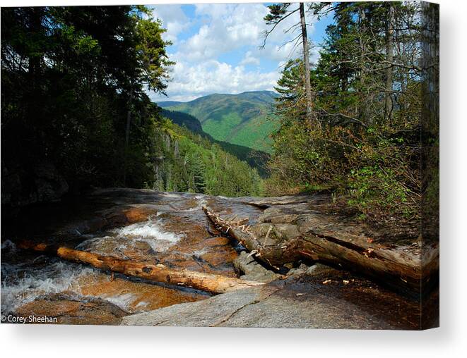 Mountains Canvas Print featuring the photograph White Mountain Beauty by Corey Sheehan