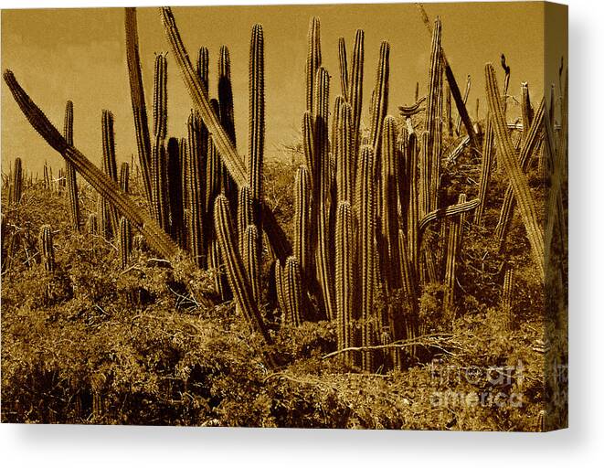 Sepia Canvas Print featuring the photograph Wild West Ivb by Anita Lewis