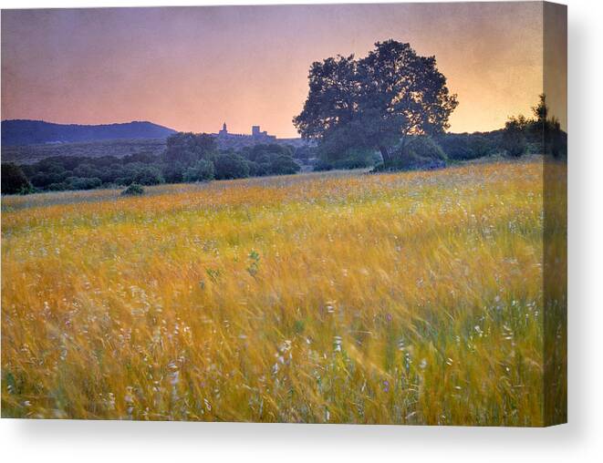 Arquitecture Canvas Print featuring the photograph Windy sunset at the medieval castle by Guido Montanes Castillo