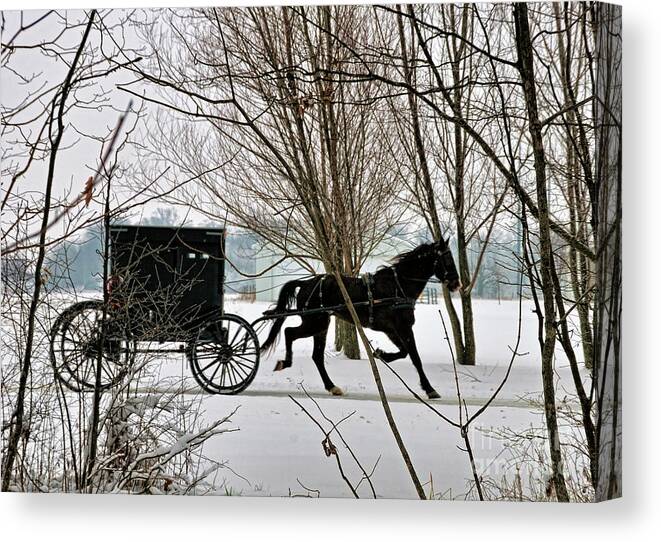 Winter Canvas Print featuring the photograph Winter Buggy by David Arment