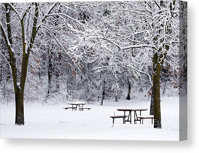 Photography Canvas Print featuring the photograph Winter is No Picnic by Larry Ricker