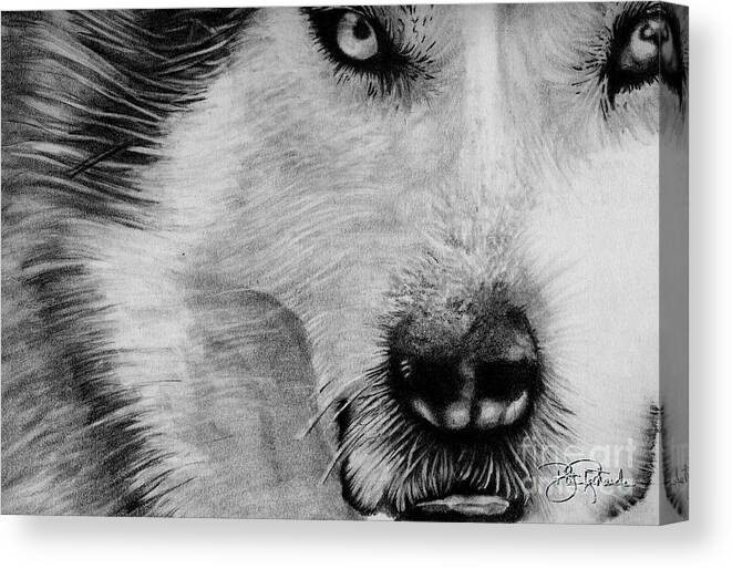 Wolf Canvas Print featuring the drawing Wolf by Bill Richards