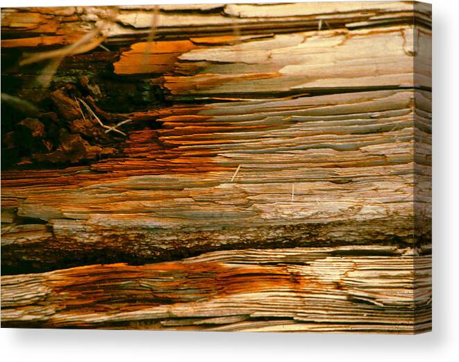 Wood Canvas Print featuring the photograph Wooden Abstract by Michael Durst