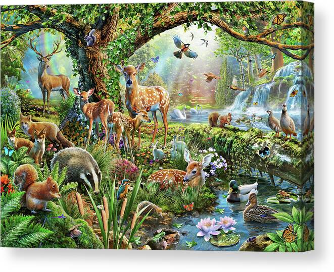 Adrian Chestarman Canvas Print featuring the drawing Woodland Creatures by MGL Meiklejohn Graphics Licensing