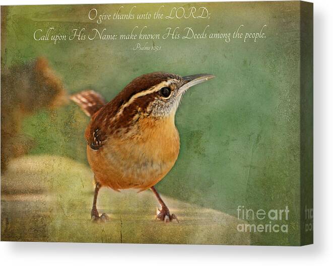 Nature Canvas Print featuring the photograph Wren with verse by Debbie Portwood