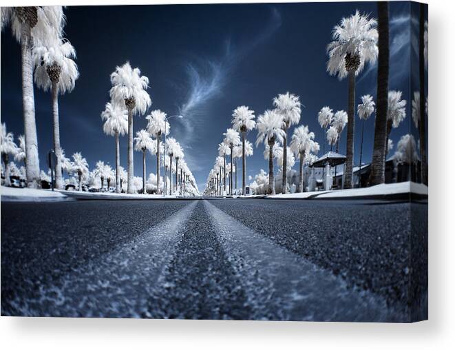 Infrared Canvas Print featuring the photograph X by Sean Foster