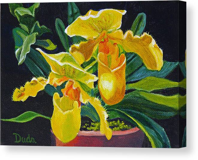 Yellow Lady Slippers Canvas Print featuring the painting Yellow Lady Slippers by Susan Duda